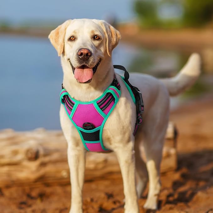 rabbitgoo Dog Harness No Pull with 2 Leash Clips, Adjustable Soft Padded, Reflective Oxford No Choke Pet Vest with Easy Control Handle for Large Dogs, Hot Pink &amp; Turquoise, M