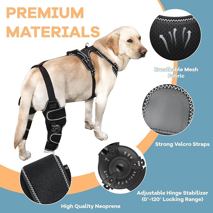 Dog Knee Brace with Adjustable Support – ACL &amp; CCL Tear Recovery, Post-Surgery Stabilization, Mobility Aid for Rear Legs – Includes Secure Chest Harness for Dogs(Right,L)