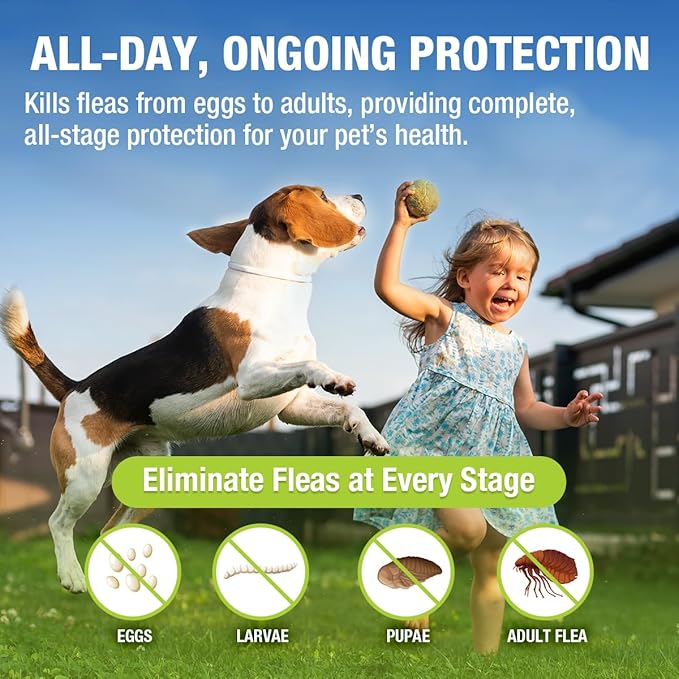 EcoVenger Flea &amp; Tick Collar Repellent 2-Pack White, Fits Both Dogs &amp; Cats, Built-in Pant-Based Formula Strong Repellency Slow Release, Lasting Deterrence and Protection, Pleasant Aroma, Waterproof
