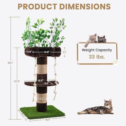 SHA CERLIN 55 Inches Cat Tree Tower with Leaves/Cozy Perches with Scratching Post for Indoor Kittens and Adults Cats/Sisal Rope and Simulated Lawn with Wide Base/Brown &amp; Green