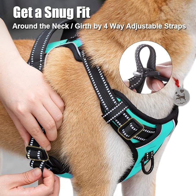 PoyPet No Pull Dog Harness, Reflective Comfortable Vest Harness with Front &amp; Back 2 Leash Attachments and Easy Control Handle Adjustable Soft Padded Pet Vest for Small Medium Large Dogs (Mint Blue,M)