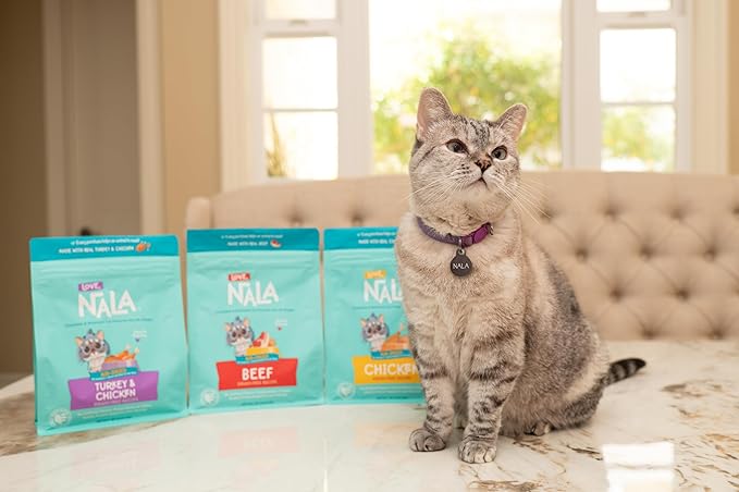 LOVE, NALA - Beef Air Dried Cat Food - Award Winning - Made in USA - Complete &amp; Balanced Cat Food for All Life Stages- 1 Bag - 1 lb.