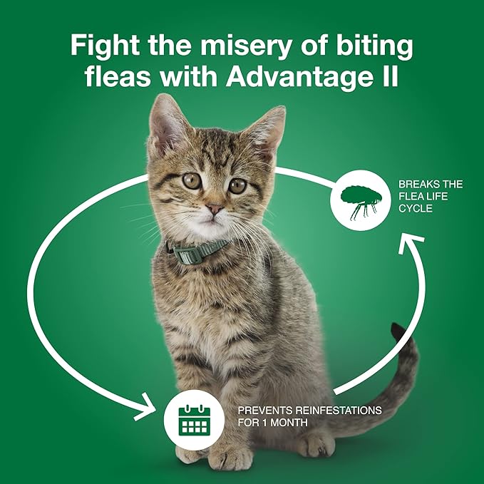 Advantage II Small Cat Vet-Recommended Flea Treatment &amp; Prevention | Cats 5-9 lbs. | 12-Month Supply