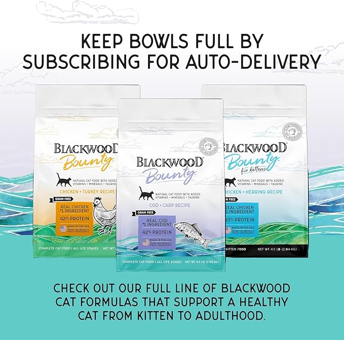 Blackwood Bounty Dry Cat Food, Cod &amp; Carp Recipe for All Life Stages, 10 Pound Bag, High Protein, Grain Free