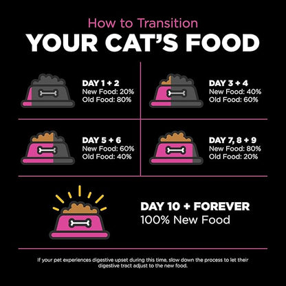 Go! Solutions Skin + Coat Care, Dry Cat Food, Chicken Recipe with Grains, 16 lb Bag