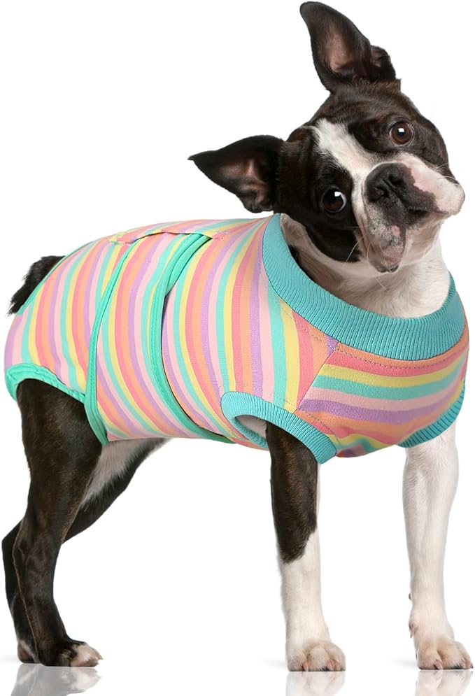 FUAMEY Recovery Suit for Dogs After Surgery,Soft Breathable Dog Bodysuit E-Collar &amp; Cone Alternative Surgical Suit,Male Female Dog Neuter Spay Suits Anti Licking Wounds Onesie Mint Green Stripes M