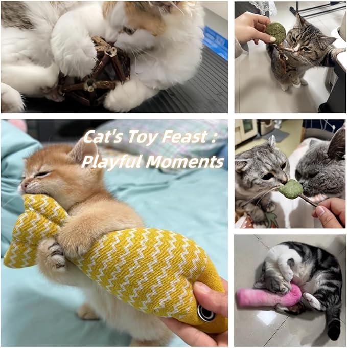 Natural Cat Toys Set with Catnip Fish &amp; Bone,Catnip Plush Toy &amp; Natural Silvervine Stick Cage Balls &amp; cat nip for Cats Lolipop, 8-Piece cat Toys for Indoor Cats Interactive Pet Toys