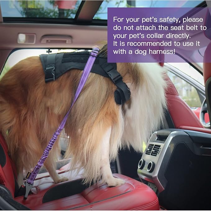AUBELL Dog Seat Belt for Car,Updated 3-in-1 Adjustable Reflective Bungee Heavy Duty Dog Car Harness Tether with Clip Hook Latch &amp; Buckle,Swivel Zinc Alloy Carabiner,Purple