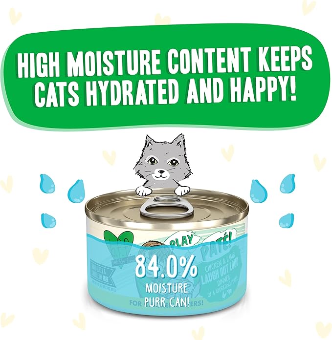 Weruva B.F.F. Play - Best Feline Friend Paté Lovers, Aw Yeah!, Chicken &amp; Lamb Laugh Out Loud with Chicken &amp; Lamb, 2.8oz Can (Pack of 12)