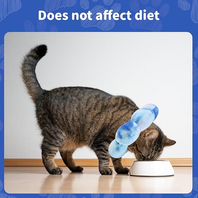 Dog Cat Surgical Recovery Cone Dog Protective Collar, Pet Recovery E-Collar Soft Neck Cone to Stop Licking Wound for Cats &amp; Kittens Small Dog After Surgery
