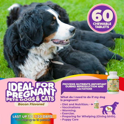 Prenatal Vitamins for Dogs &amp; Cats 60 Pills Folic Acid &amp; Minerals