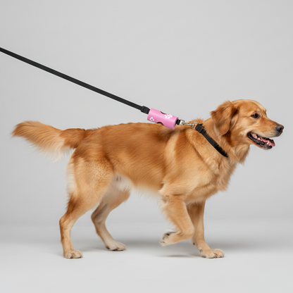 Poop Bags With Dispenser Kit