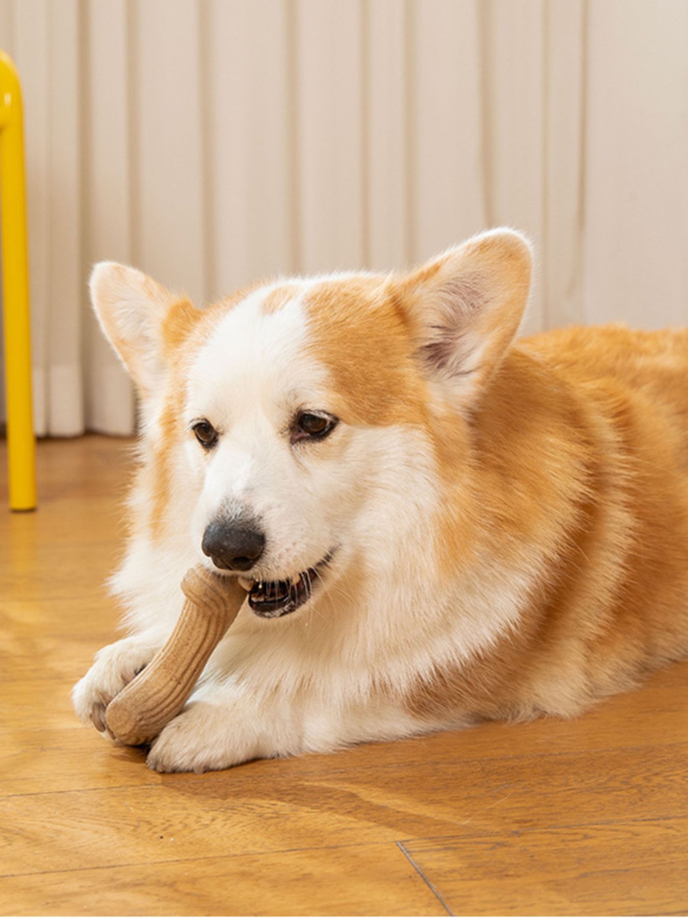 Durable Antler-Shaped Dog Chew Toy