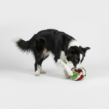 Interactive Snuffle Ball