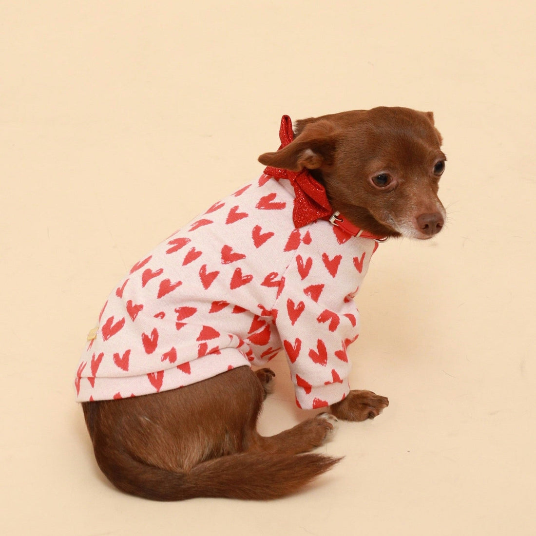 Red Hearts Cotton Raglan