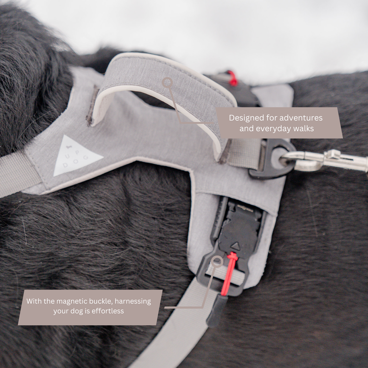 Magnetic Dog Harness with Handle - Easy On, No-Pull Design