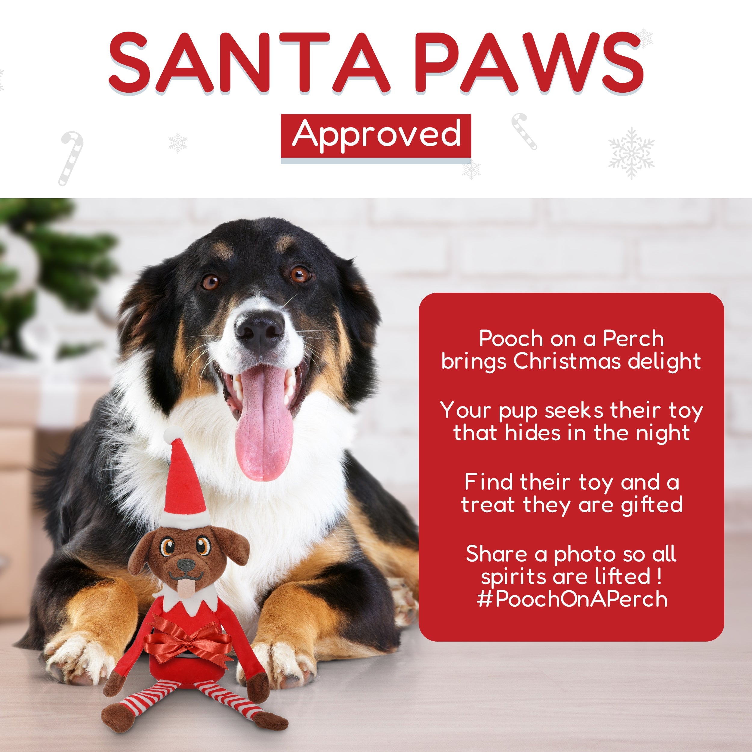 PUPROAR Pooch on a Perch | Elf Dog Toy &amp; Christmas Dog Toy