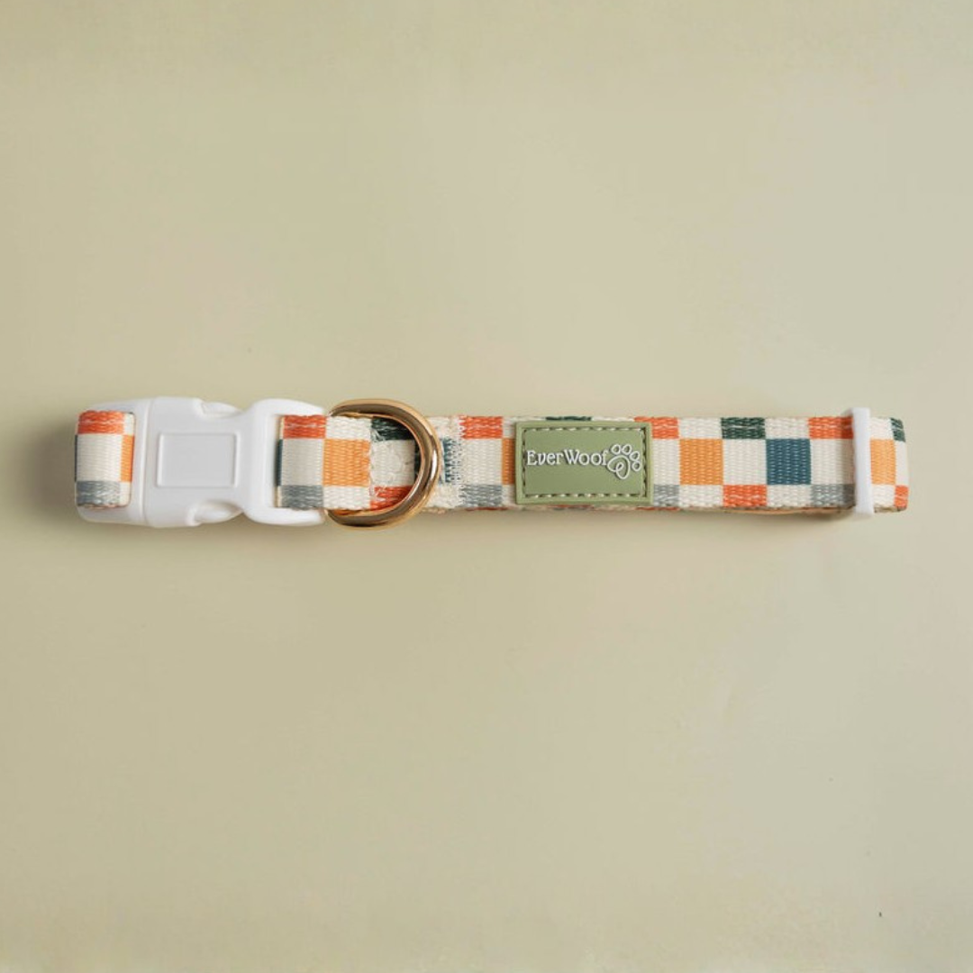 Sage &amp; Cider Collar