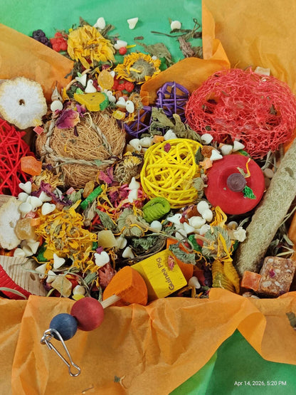 Play &amp; Chew Rodent Fun  "No More Boredom" Box - Rats, Mice, Gerbils, Hamsters...