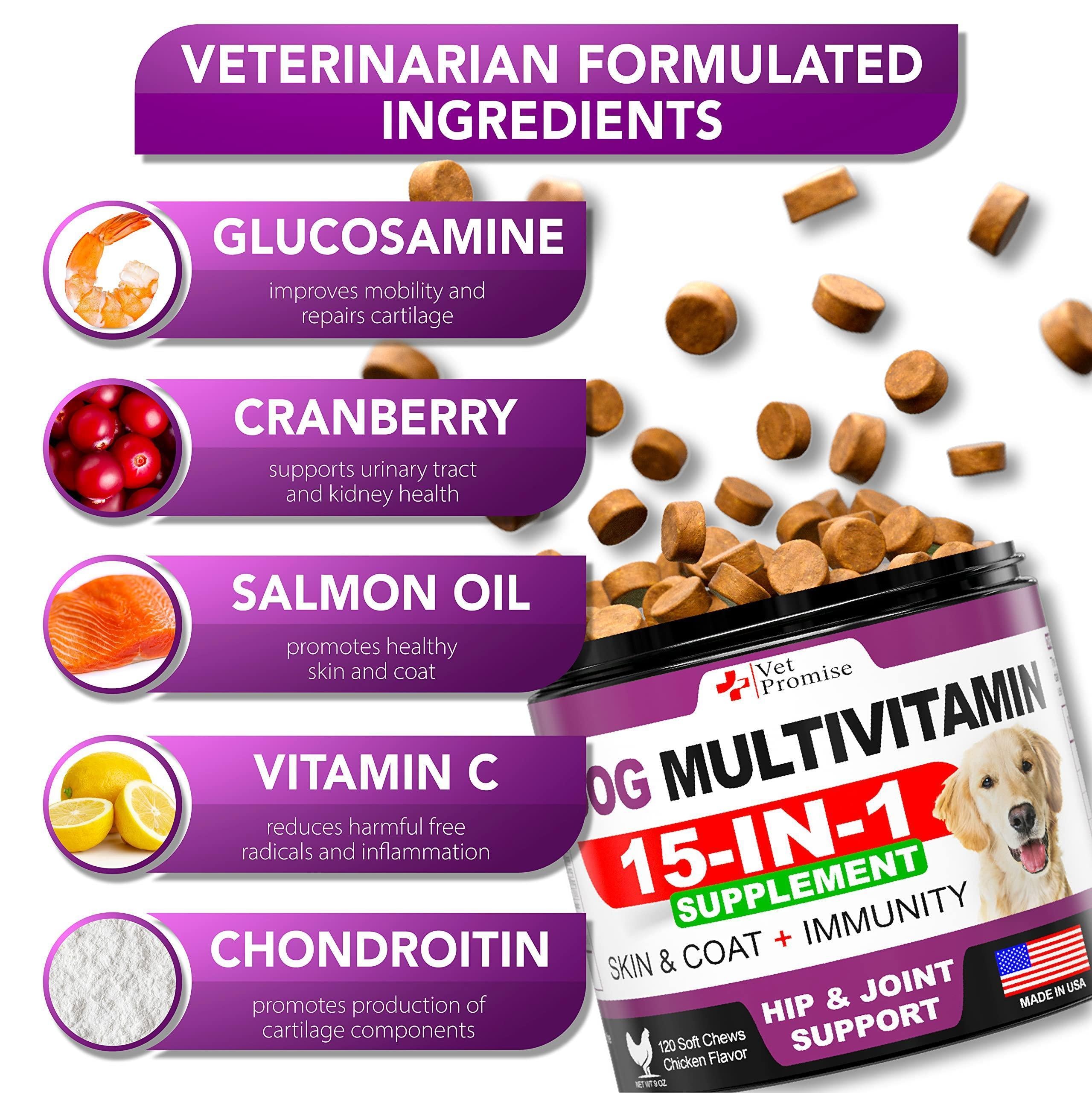 Dog Multivitamin Chews with Glucosamine 120 Count Joint Immune &amp; Mobility