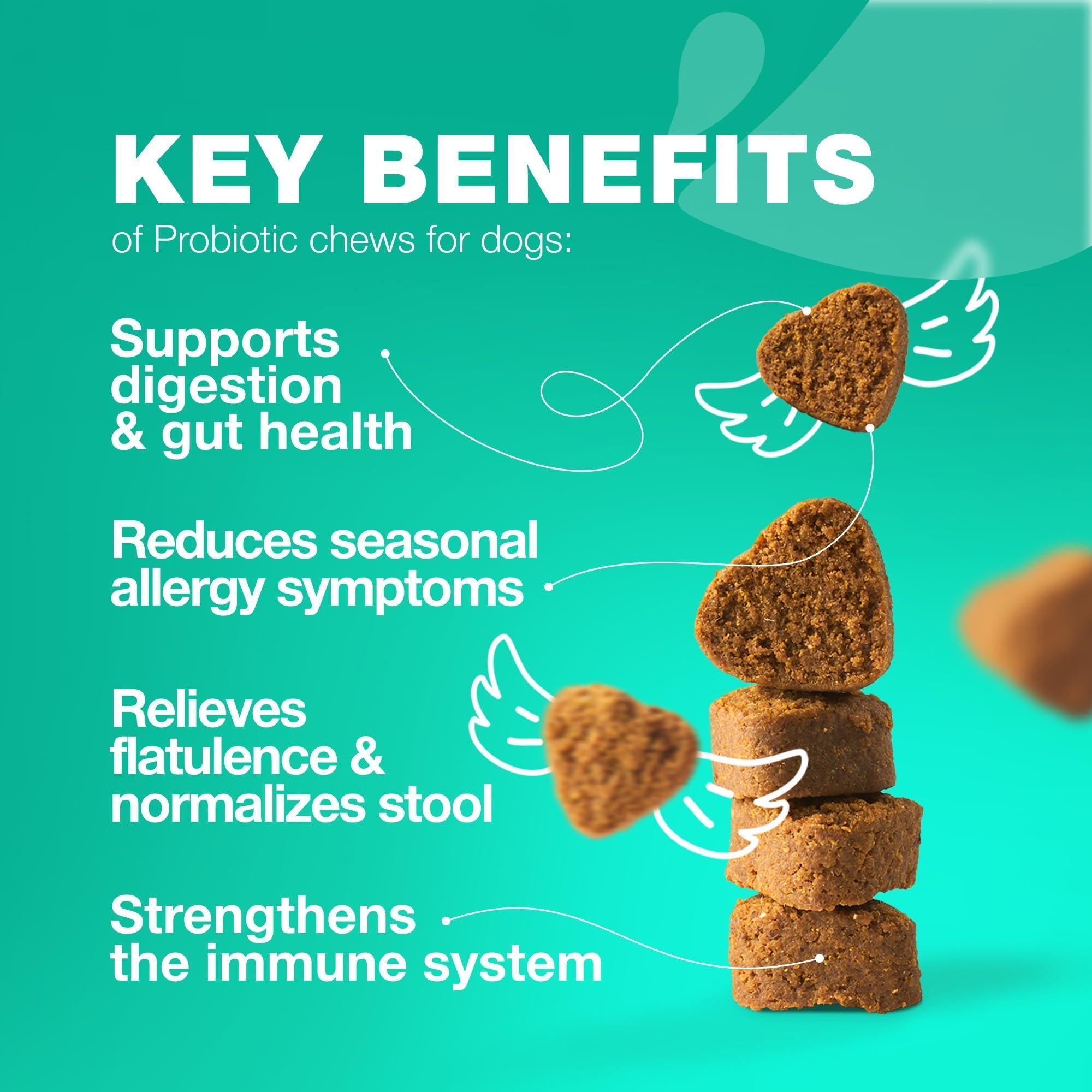 Probiotics for Dogs Digestive Enzymes Gut Health Pumpkin &amp; Yeast Powder