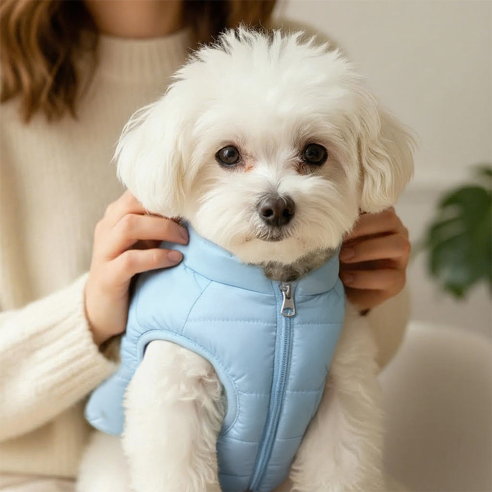 Winter Warm Padded Cotton Coat For Pets Dogs