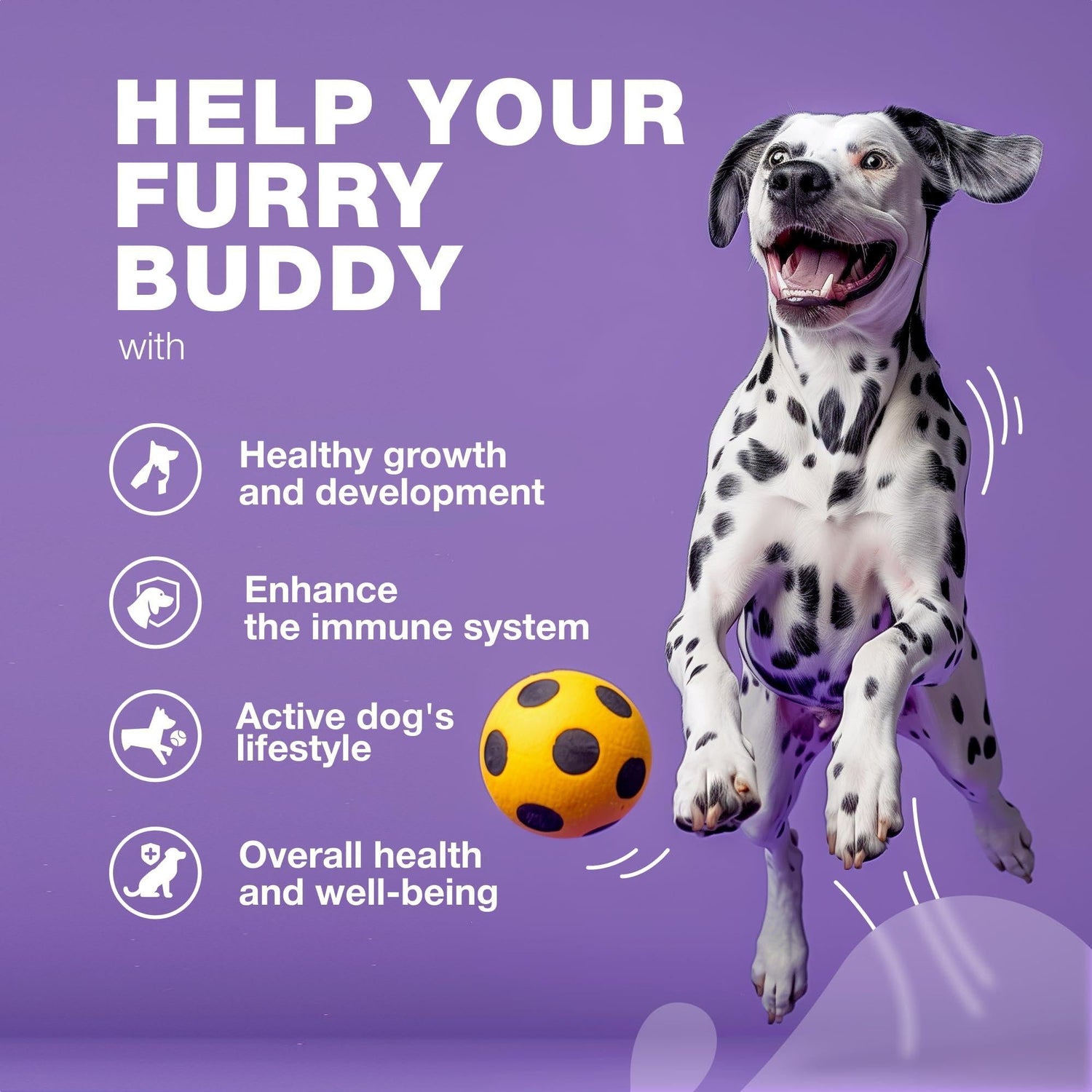 Dog Multivitamin Chews 15-in-1 MSM Hip &amp; Joint Health