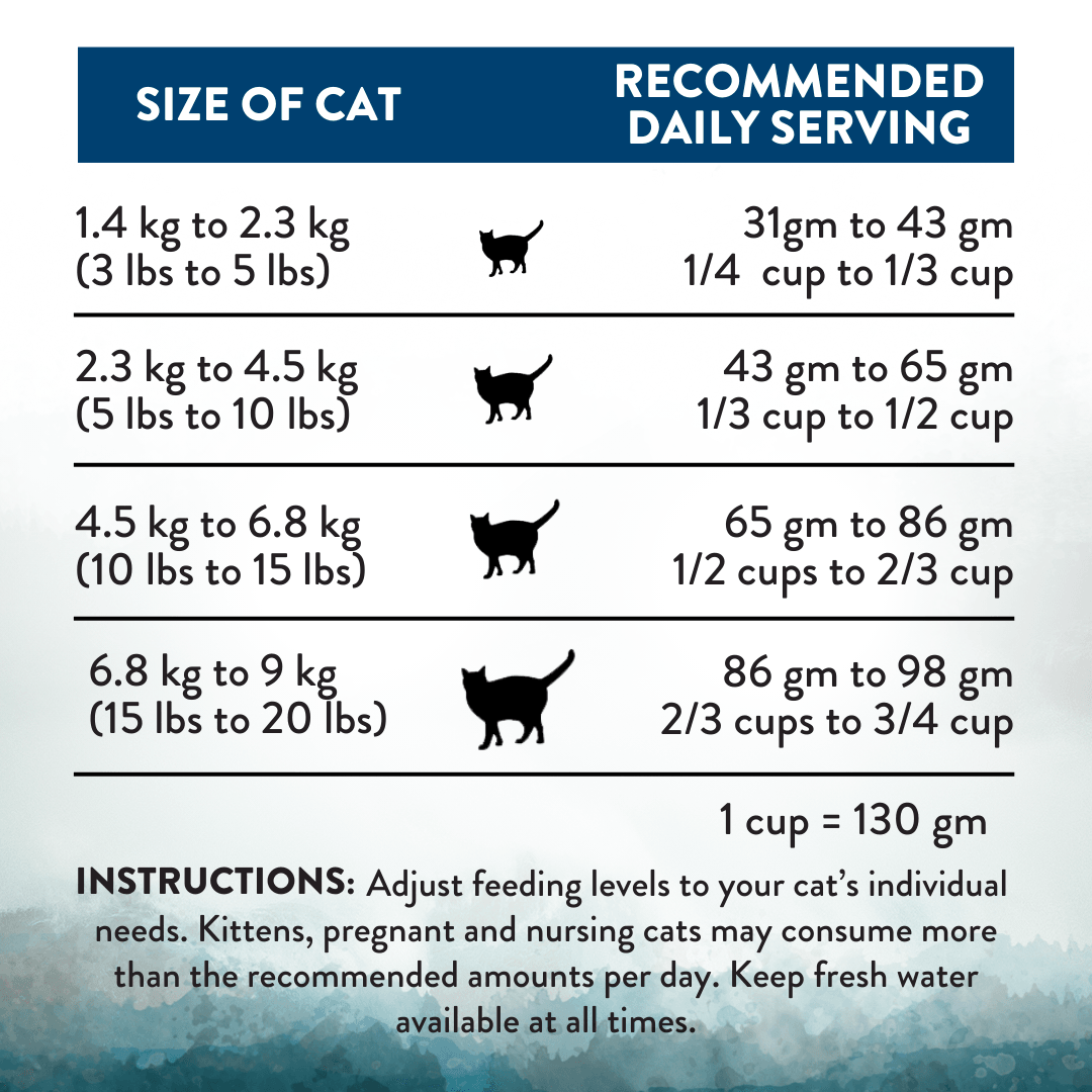 Wild Islands Pacific Catch Premium King Salmon Mackerel &amp; Hoki Dry Cat Food