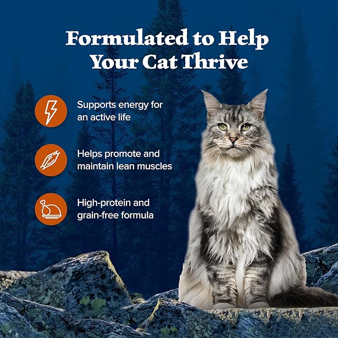 Blue Buffalo Wilderness Wild Delights Meaty Morsels Wet Cat Food, High-Protein &amp; Grain-Free, Made with Natural Ingredients, Chicken &amp; Turkey Recipe in Tasty Gravy, 3-oz. Cans (24 Count)