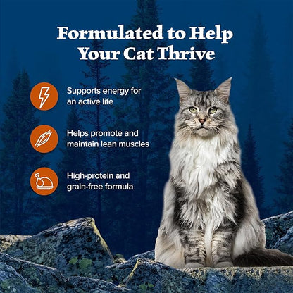 Blue Buffalo Wilderness Wild Delights Meaty Morsels Wet Cat Food, High-Protein &amp; Grain-Free, Made with Natural Ingredients, Chicken &amp; Turkey Recipe in Tasty Gravy, 3-oz. Cans (24 Count)