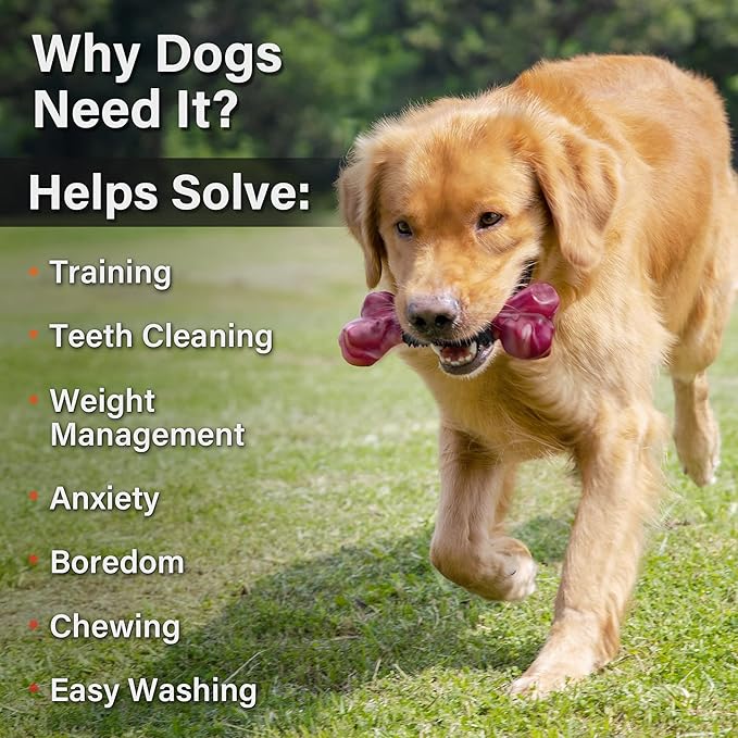 Apasiri Dog Toys for Aggressive Chewers with Bacon Flavor: 8" Indestructible Chew Bones for Large Breeds, Tough Nylon &amp; Rubber Dog Toys Keep Them Busy, Interactive Play - 2-Pack