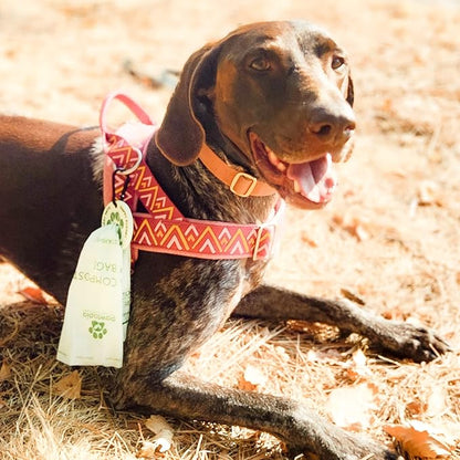 Pawtria Certified Home Compostable Dog Poop Bags (240 Bags + Lavender Carrier), Biodegradable Pet Waste Bags, Vegetable Starches, Leak proof Dog Waste Bags, Light-weight silicone made bag carrier