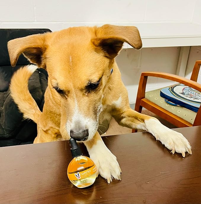 Warren London Dog Cuticle &amp; Nail Revitalizing Oil | Moisturize, Strengthen, and Nourish | Vitamin E - Cruelty-Free, Non-Greasy Formula | Gentle Daily Care for Healthy Dog Nails &amp; Paws