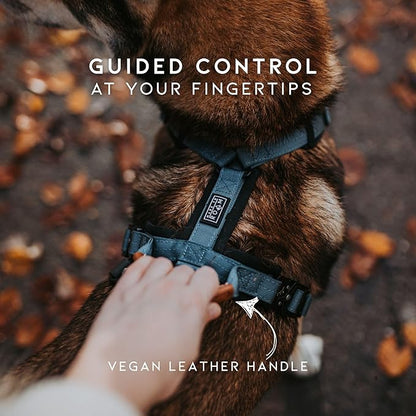 MADE TO ROAM Premium Explorer Harness - Y-Shaped Dog Harness with Adjustable Durable Nylon, Soft Padding, Metal Buckles and Leather Handle for Small, Medium, Large Dogs (Texas Flair, Size 6)