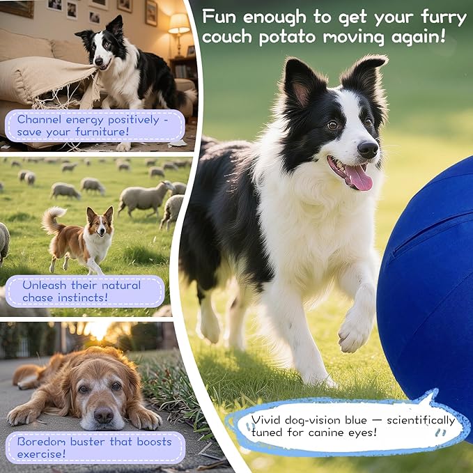25" Herding Ball for Dogs – Durable Horse Ball Style Dog Toy with Cover – Dog Herding Toy for Outdoor Play, Training &amp; Exercise – Great for Australian Shepherds &amp; Large Breeds