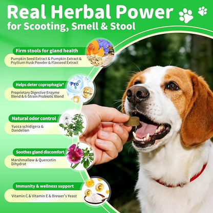 Premium Dog Digestive Enzymes and Probiotics with Pumpkin for Gut Health Support - Daily Chews for Digestion &amp; Gas Relief - Chicken Flavor-90 Count