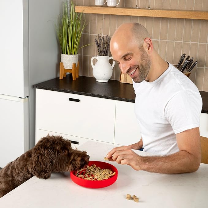 The Slowdown Bowl Silicone Slow Feeder for Dogs &amp; Puppies, Slow Eating, Modern Lick Mat Design, Reduces Gulping, Fits 2 Cups 7.5” Across x 1.5” Tall, Mealtime Challenge, Medium-Cherry