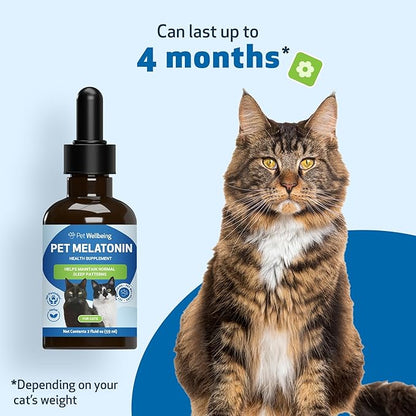 Pet Wellbeing Pet Melatonin for Cats - Supports Adrenal &amp; Thyroid Health, Cortisol Balance, Helps Maintain Normal Sleep Patterns - Veterinarian-Formulated Liquid Supplement 2 fl oz (59 ml)