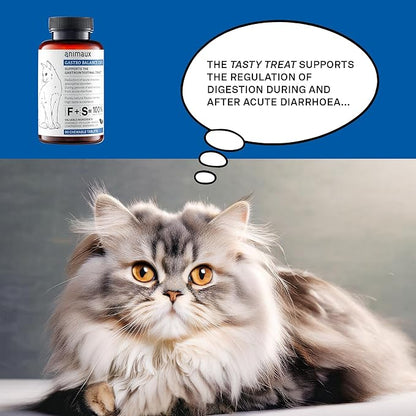 animaux - Gastro Balance for Cats, Supports Gastro-intestinal Tract, Prevents Diarrhoea, Constipation, Hairballs &amp; Flatulence, supplementary probiotics, 90 chewable Tablets, 90 Days Supply