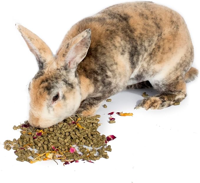 Pampered Chicken Mama Herbal Rabbit Feed 25 LB Bag: Premium Rabbit Food Made with Timothy Hay &amp; Organic Herbs