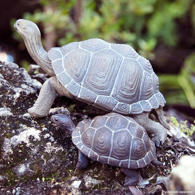 Safari Ltd. Tortoise Baby Figurine - Detailed 5.5" Plastic Model Figure - Fun Educational Play Toy for Boys, Girls &amp; Kids Ages 18M+