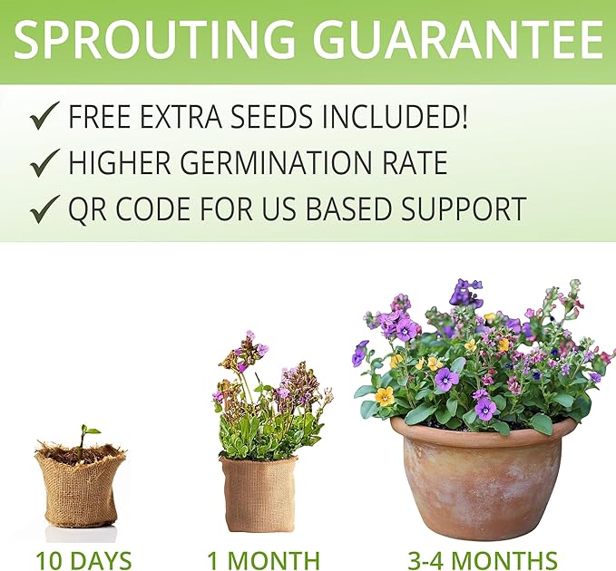 Wildflower Seed Mix Growing Kit - Includes Perennial &amp; Annual Wild Flowers, Burlap Planters, Soil, Wooden Box, and Gardening Tools for Indoor Garden and Patio Planting