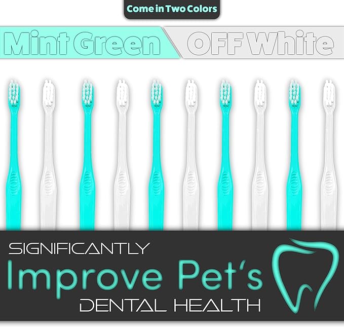 H&amp;H Pets Toothbrush for Small Dogs &amp; Cats - Soft and Extra Small Toothbrush Designed for Cats, Puppies, and XS Breed Dogs Like Teacups, Chihuahuas, Yorkshire, and Poodle, 4 Count Pack