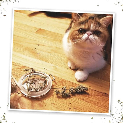 Meowijuana | Dried Catnip Buds Jar | Premium Organic Catnip | Grown in North America | Perfect for Cat Toys | Fresh Catnip for Extended Playtime | Elevate Your Cat&