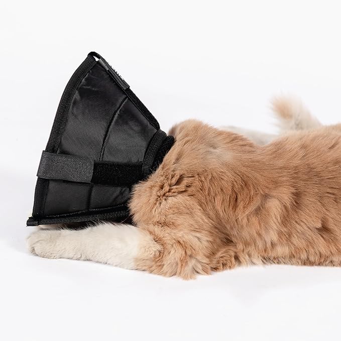 Cat Cone Collar - Soft Adjustable Cat Elizabethan Healing Collar – Lightweight Wound‑Protection Neck Cone for Licking/Biting Prevention, Fits Neck 6.5″–10.5″, Ideal Post‑Surgery &amp; Injury Care