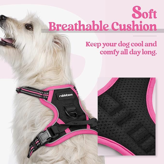 rabbitgoo Dog Harness No Pull with 2 Leash Clips, Adjustable Soft Padded, Reflective Oxford No Choke Pet Vest with Easy Control Handle for Large Dogs, Black &amp; Hot Pink, XS