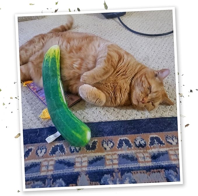 Meowijuana Pickle Bundle | Get Kickin&