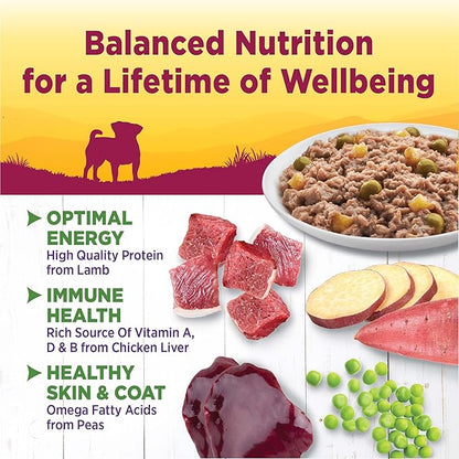 Wellness Petite Entrées Casserole with Roasted Lamb, Peas &amp; White Sweet Potatoes, 3-Ounce Cup (Pack of 12)
