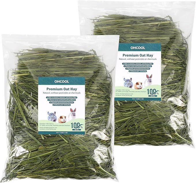 Premium Oat Hay for Pets - Dust Free Natural Green Fresh Pet Food Hay for Rabbits, Guinea Pigs, Chinchillas, Hamsters &amp; Gerbils - 2.2lbs