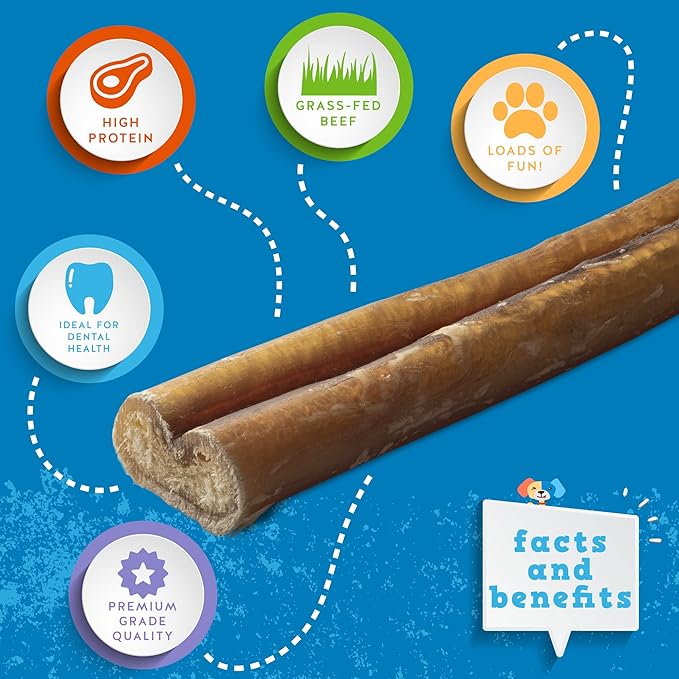 Jack&amp;Pup 6-inch Jumbo Bully Sticks (6 Pack) Single Ingredient, Extra Thick Pizzle Sticks for Dogs | Longest Lasting Bully Sticks for Medium to Large Dogs